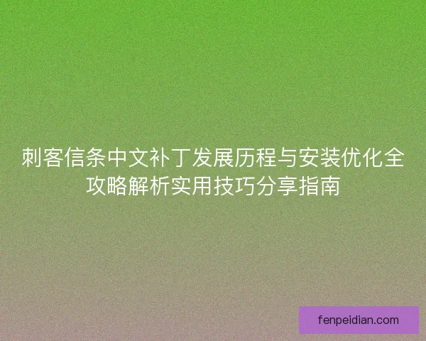 刺客信条中文补丁发展历程与安装优化全攻略解析实用技巧分享指南