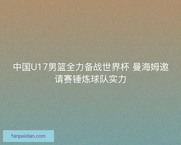 中国U17男篮全力备战世界杯 曼海姆邀请赛锤炼球队实力